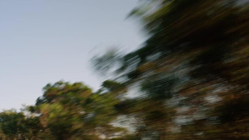 A dynamic blurred shot captures green and brown trees rushing past at high speed against a clear blue sky emphasizing rapid movement