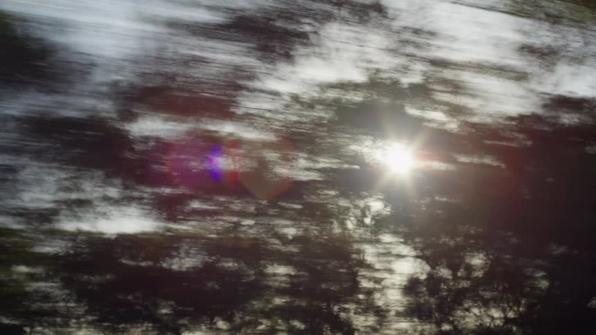 Blurred trees in motion with sunlight filtering through the branches