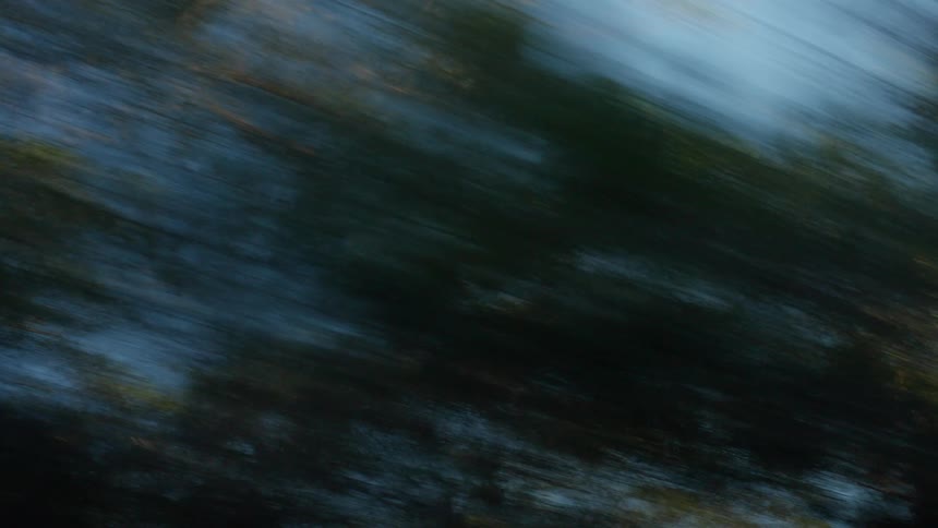 An abstract blurred shot shows diagonal streaks of blue sky and green and brown foliage moving rapidly creating an intense sense of speed and movement