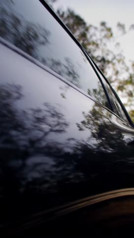 A vertical close view captures the dark highly reflective exterior and window of a car showing the inverted and distorted reflection of green trees and the bright sky