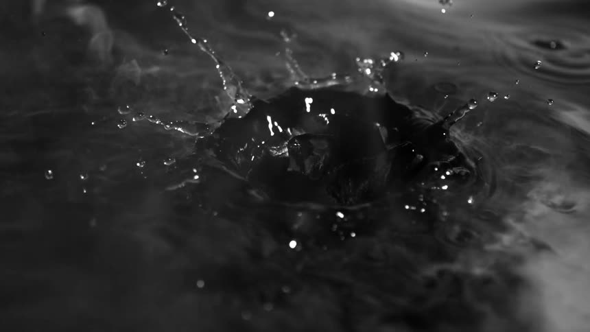 A closeup slowmotion shot in monochrome captures a dark rosebud dropping onto a dark wispy liquid surface creating a dynamic splash and then settling into the water