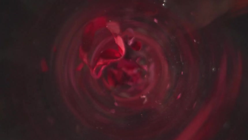 Red leaves spinning inside a circularmoving liquid flow