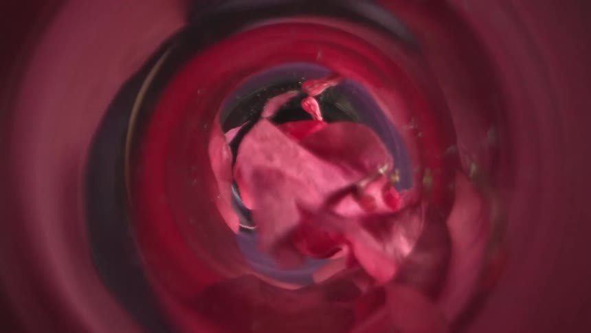 An abstract topdown perspective looks into a dark swirling vortex where vibrant red and pink rose petals tumble and fall directly toward the camera lens