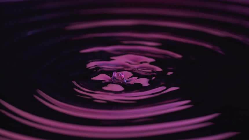 A dark liquid surface dramatically illuminated in magenta and purple captures a slowmotion sequence of a water drop creating a perfect ripple pattern followed by a turbulent highsplashing crown
