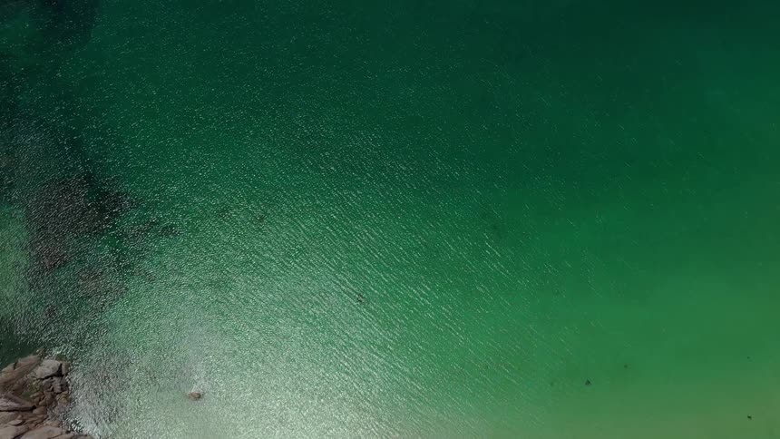 An extreme overhead shot provides a topdown view of a secluded crescentshaped sandy beach and the strikingly deep green ocean water which transitions from light turquoise near the shore to a darker hue offshore