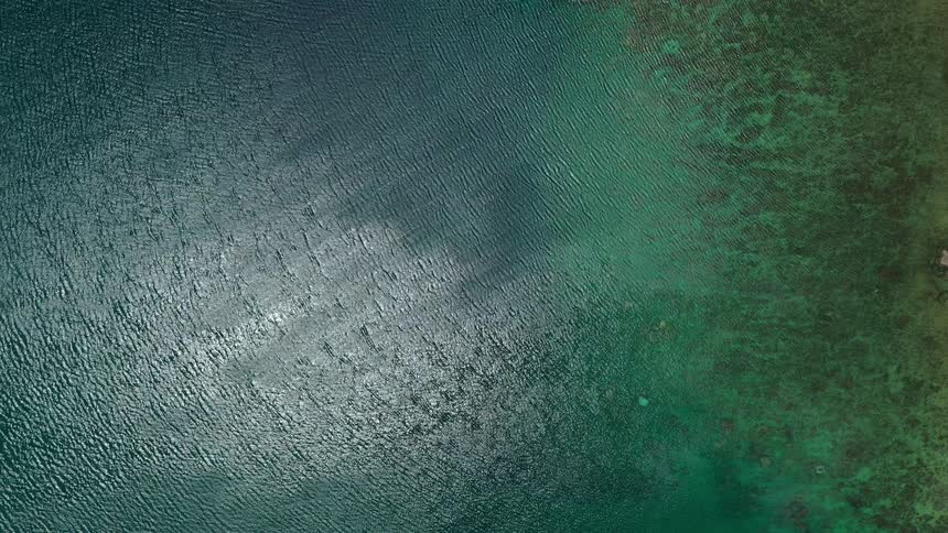 An extreme overhead shot of the ocean displays the distinct contrast between the textured dark deep water and the lighter mottled green of the shallow water revealing submerged coral