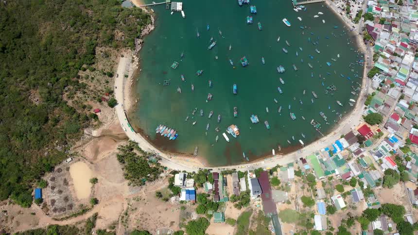 Coastal cove seen from above with dozens of boats distributed near the urban shoreline