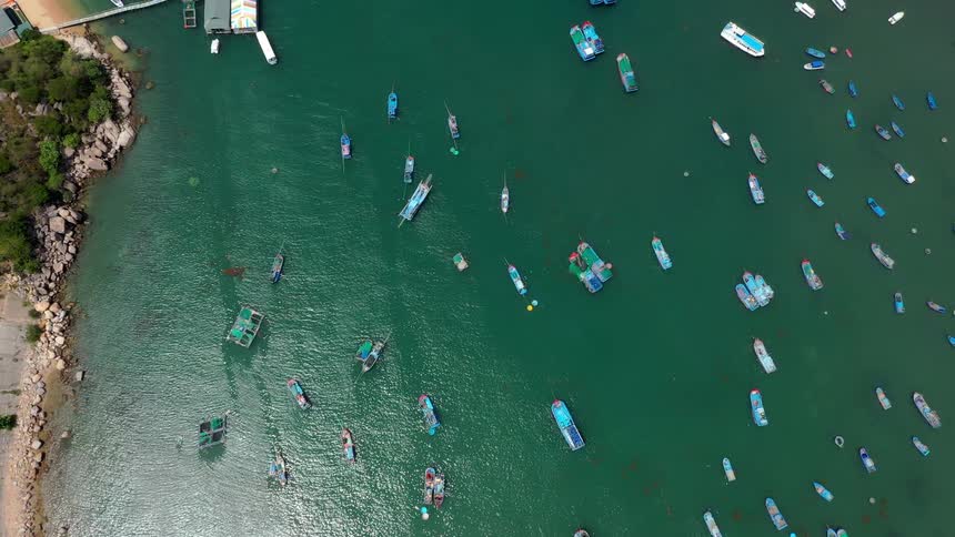 Aerial view of many boats sailing on the water off the coast