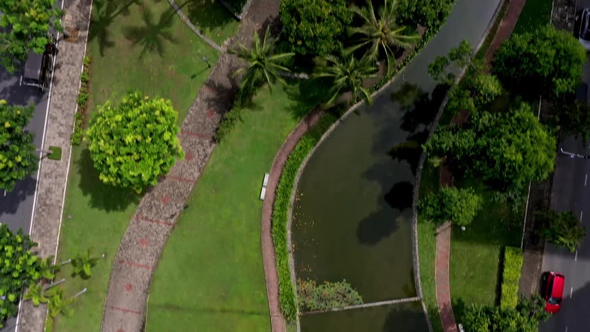 Urban area with a road beside a treefilled park a pond with aquatic vegetation and orangeroofed pavilions