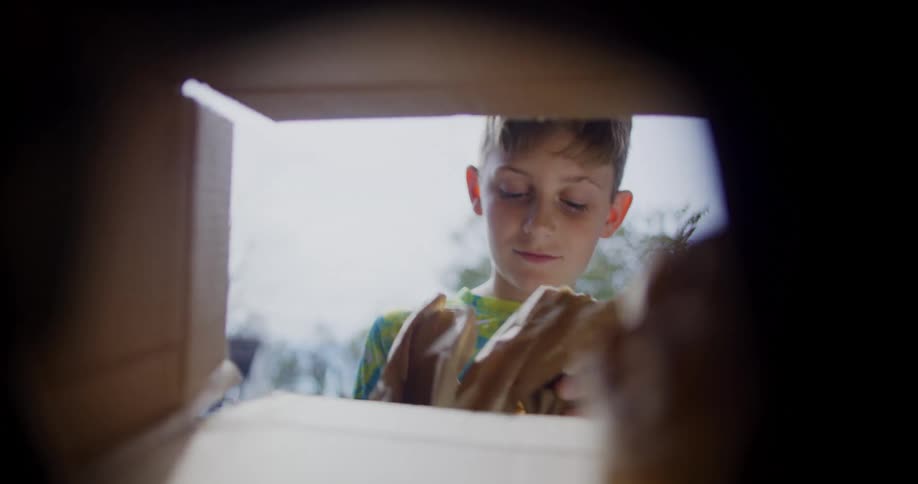 Child reaches for an item inside a box seen from its opening
