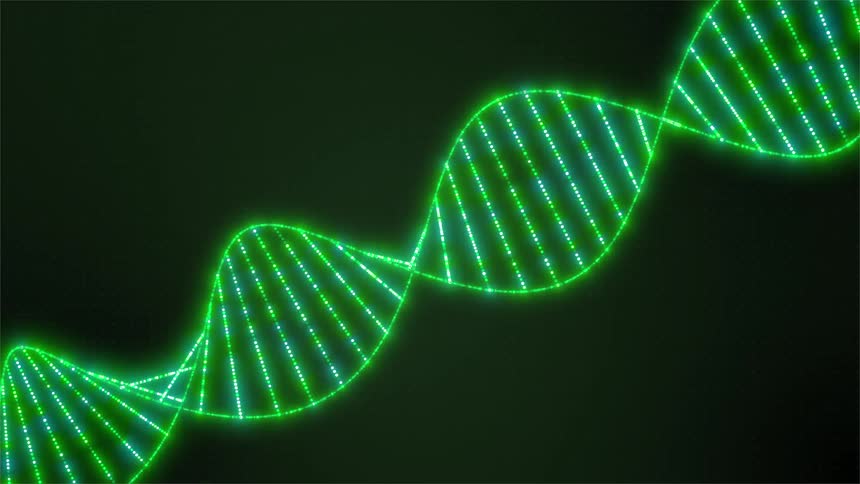 The video displays a bright neongreen animation of a rotating double helix structure resembling a dna strand against a dark background the helix is composed of glowing dots and lines creating a technological or scientific aesthetic as it twists and