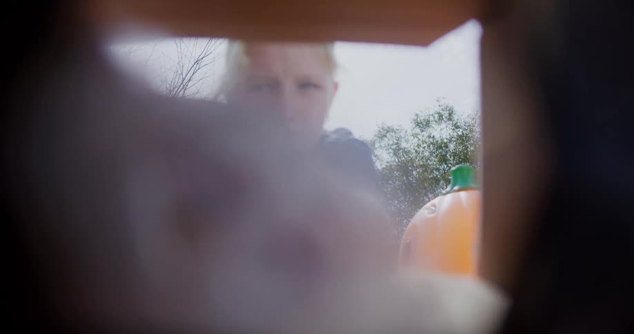 From the view of the inside of a bag or box a person places items inside