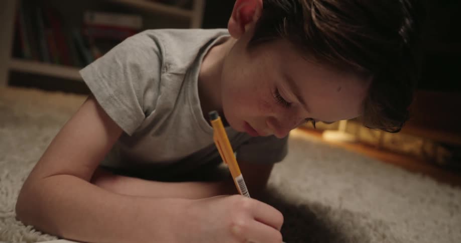 A young boy in a gray shirt lies on a shaggy rug writing in an open notebook surrounded by scattered books on the floor in a warm low lit room