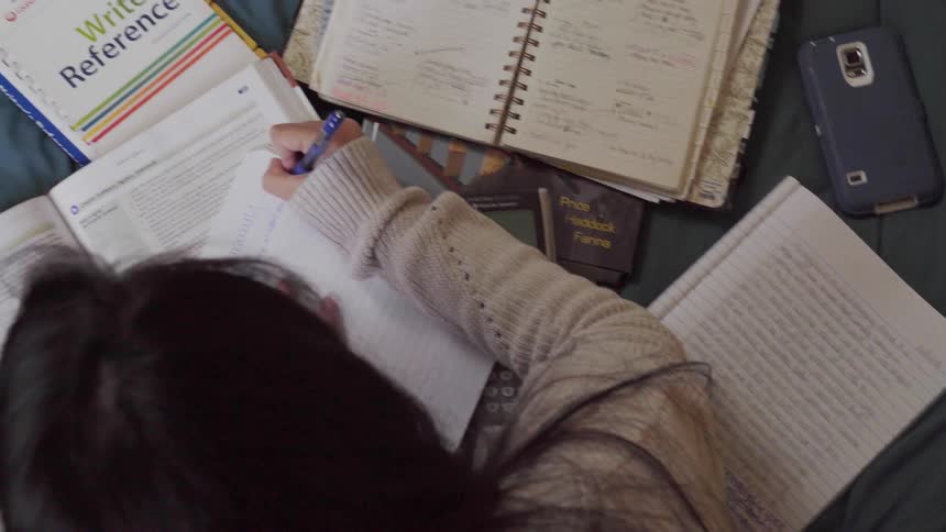 A woman studies on a bed