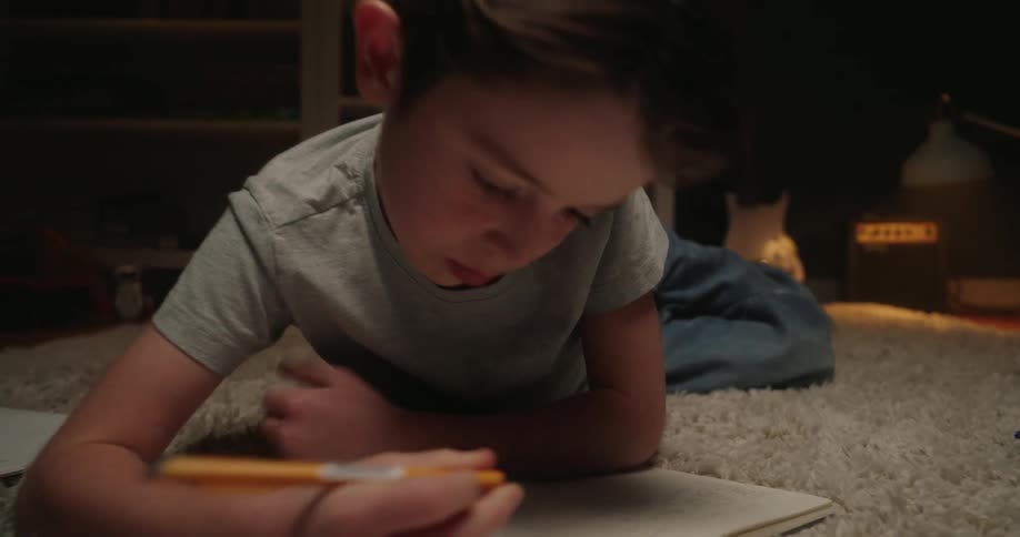 A young boy in a gray shirt lies on a shaggy rug concentrating while writing in a notebook surrounded by open books and papers in a dimly lit room with a bookcase