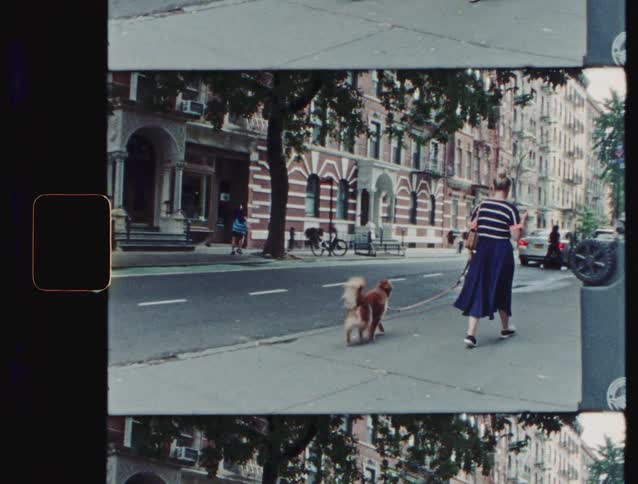 Woman walks along the sidewalk guiding a dog on a leash