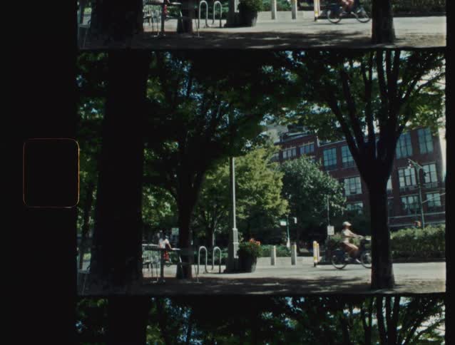 People ride bicycles in a wooded area with buildings in the background
