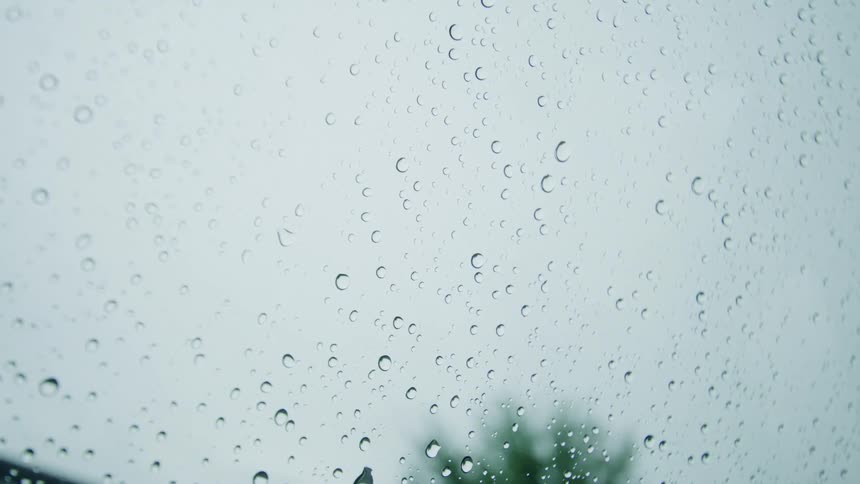 Raindrops spread across a window against a bright sky with a tree canopy in the background
