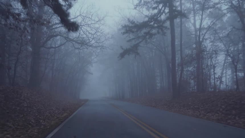 Traveling down a foggy forest highway