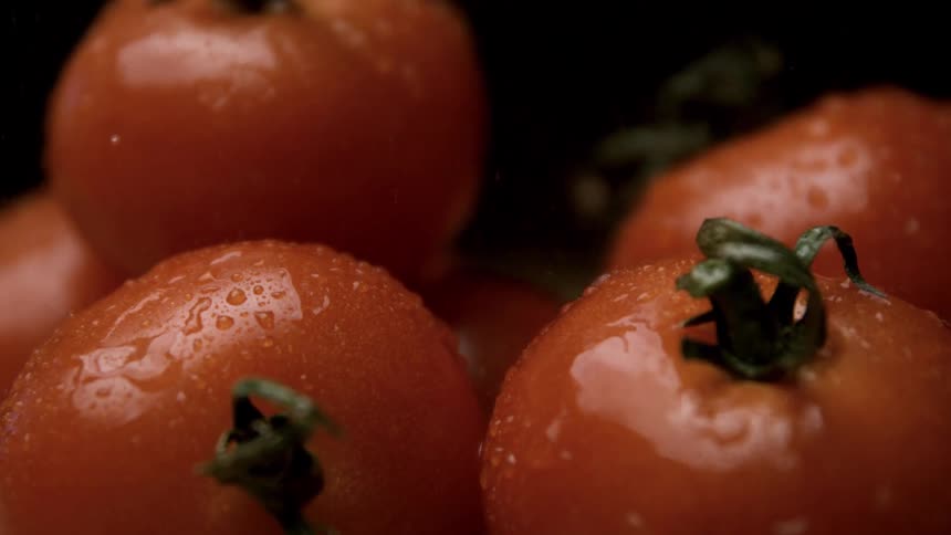 Red tomatoes with water droplets appear in a closeup