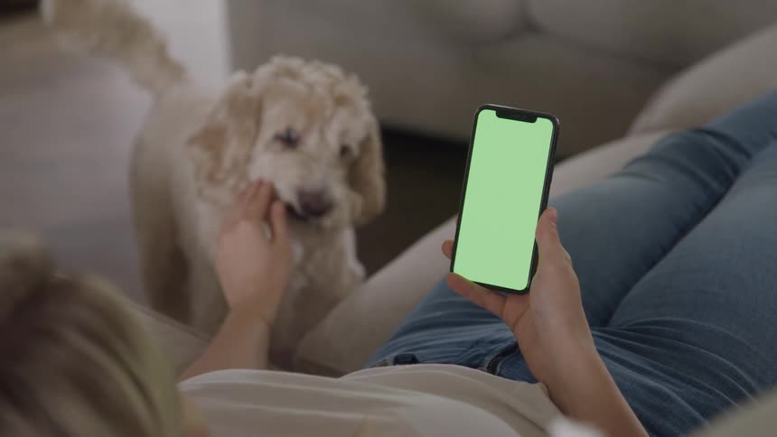Woman lying on a sofa holds a smartphone while a dog stands beside them