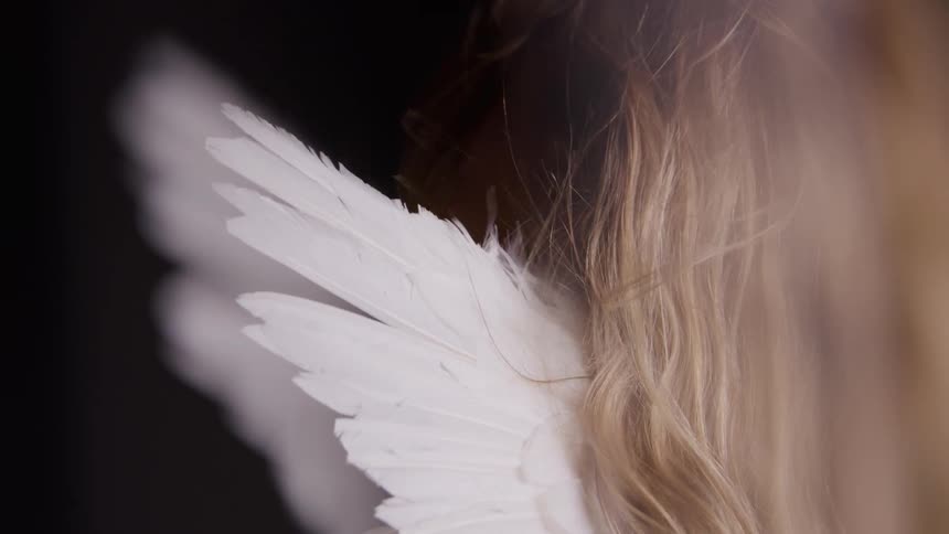 White feathered wing appears beside wavy blonde hair
