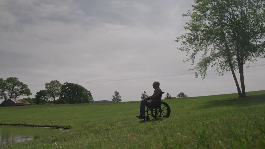Person in a wheelchair positioned on a grassy area near a lake