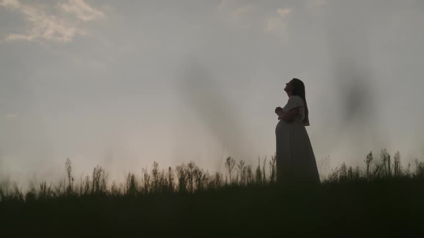 Pregnant woman standing in an open field at dusk
