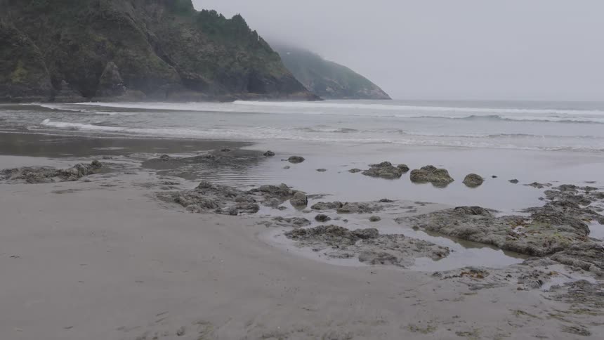 The camera pans up from a wet grey sandy beach showing dark tide pools and rocks revealing the ocean waves crashing gently near a massive treecovered cliff face disappearing into a dense fog on an overcast day