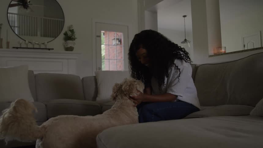 Young black female smiling and playing with a dog on a living room indoors during day time