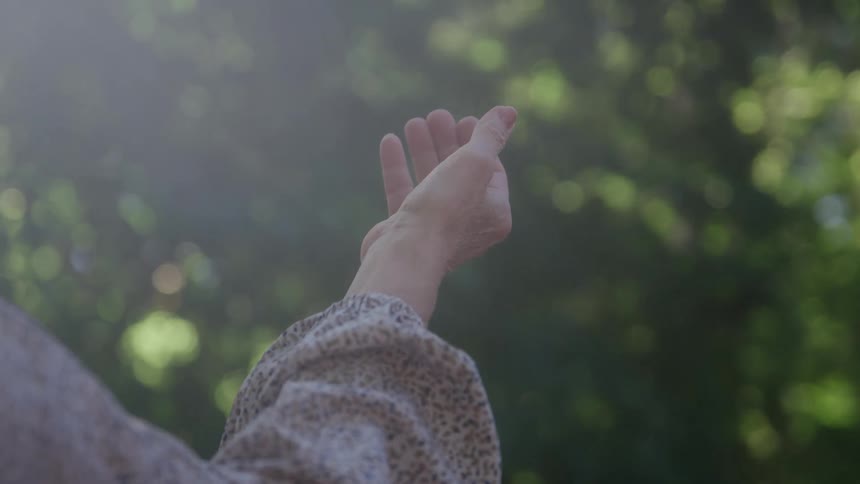 Hand raised against a background of trees