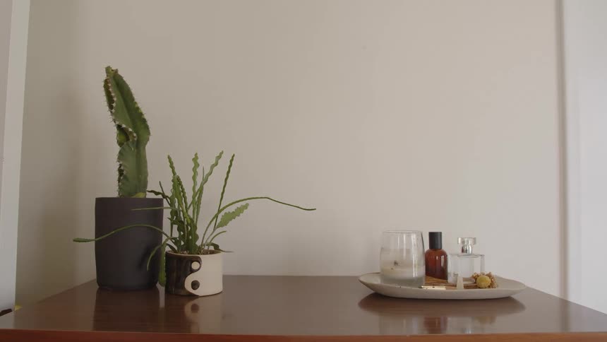 Alcoholic beverage supplies sit on a tray on a table near two potted plants