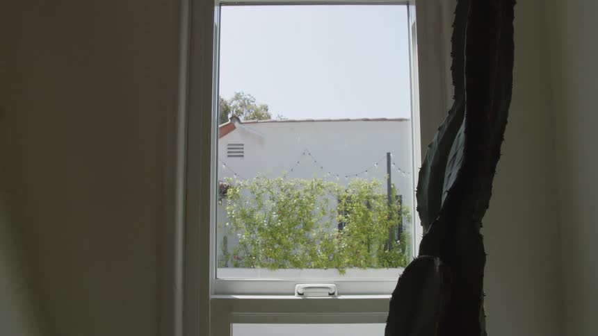 A large dark green cactus stands in the foreground framing a narrow window that looks out onto a white stucco building covered in bright green vines