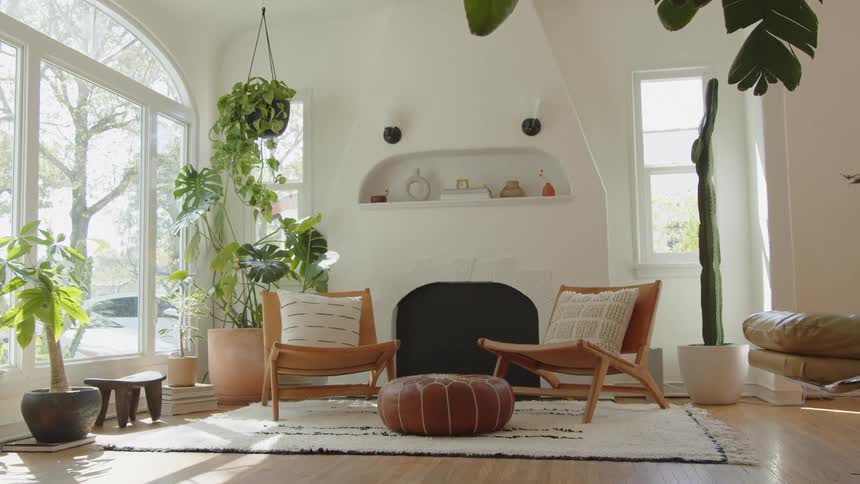 A brightly lit living room features a white fireplace niche flanked by two modern wooden chairs and many green potted plants including a tall cactus and hanging vines