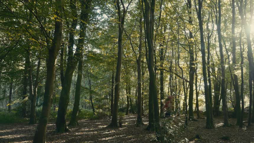 Woman running through the forest