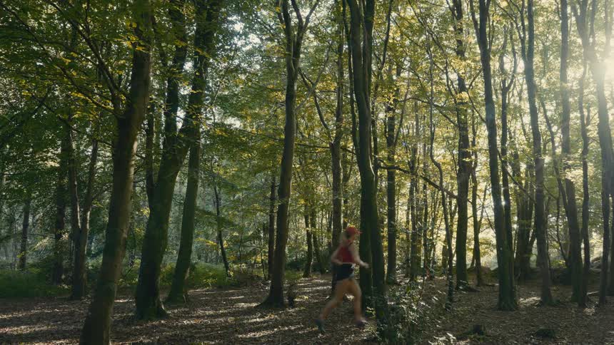 A woman jogs in a deciduous forest on a summer day