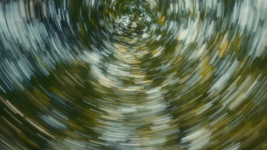 The tall trees spin fast
