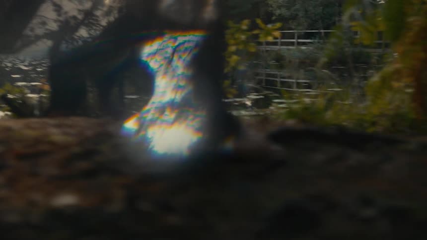 The man is hiking through the forest