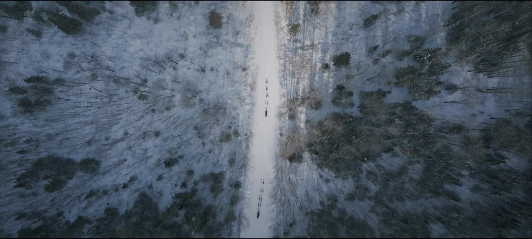 An aerial view of some people walking on a small dirt road in a rural setting
