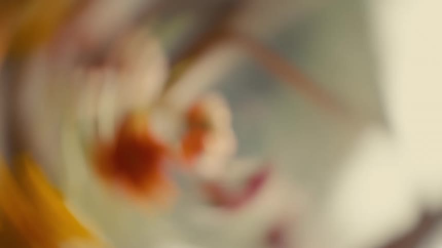 Blurred orange vegetation appears in softly lit indoor setting