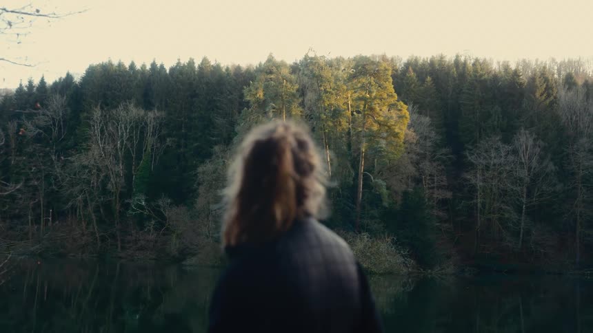 Person seen from behind looks toward a lake surrounded by dense forest at dusk