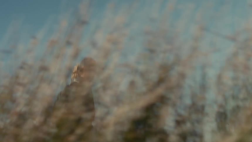 Young woman wearing a backpack walks through a rural field of tall dry grass and vegetation