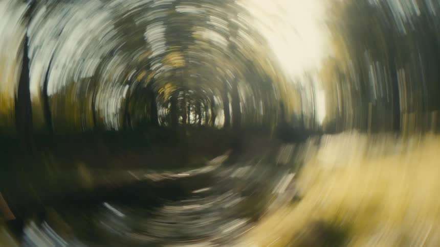 The tree is blurry as it spins fast