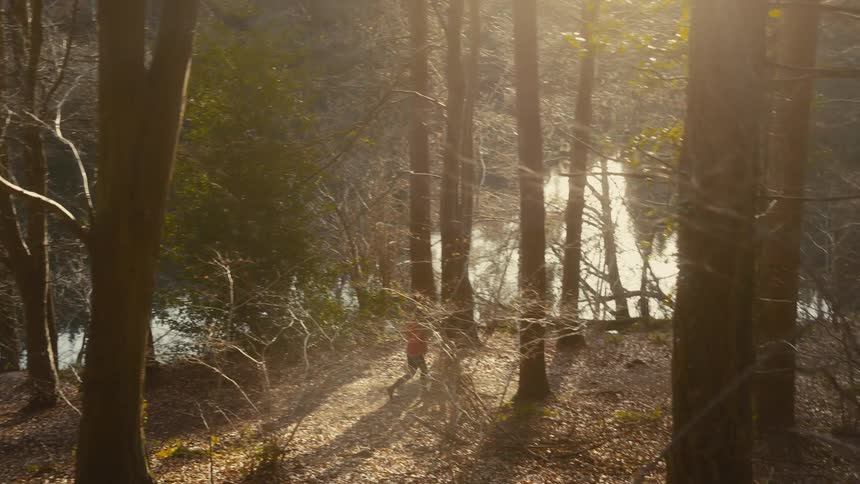 A woman is walking in a forest with dry leaves on the ground and a lake behind her