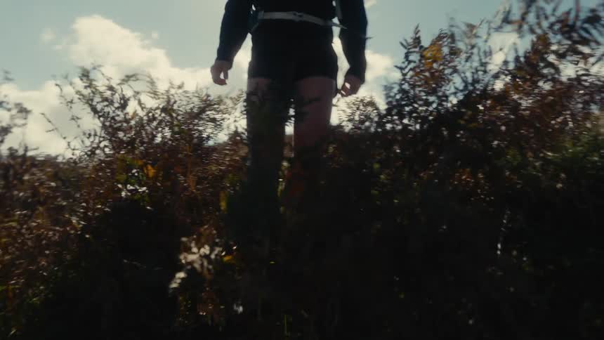 A girl walks through some brush in a field