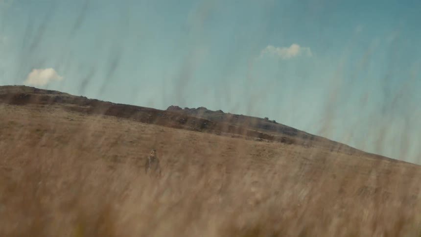 Woman walks on a mountainside as dry grass and vegetation moves in the breeze