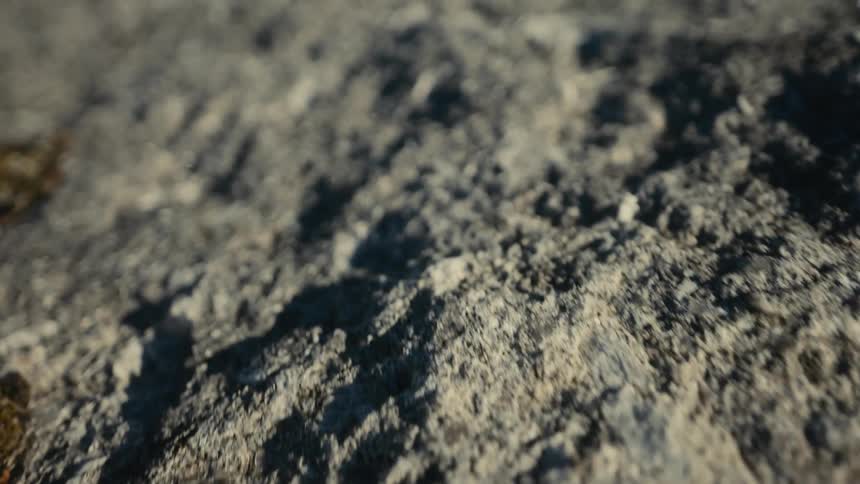 Dark soil on the ground outdoors at night