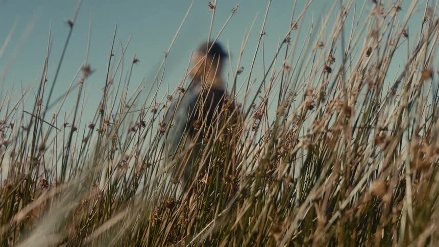 The view shifts from sunlit blades of grass to a woman with a backpack standing in a field her figure coming into focus against the clear blue sky