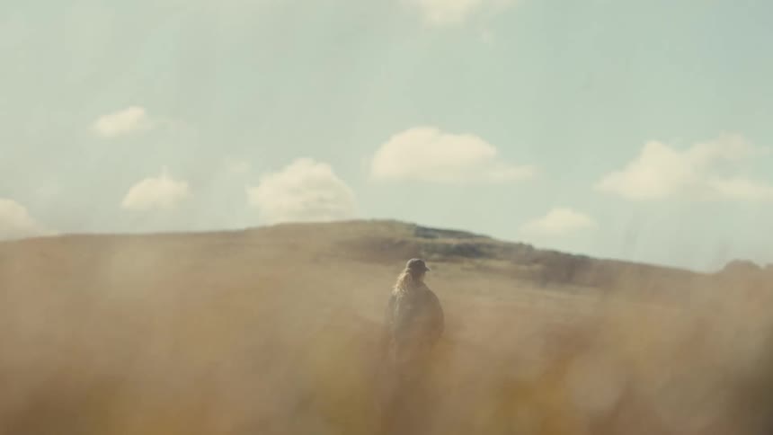 Woman walks on a rural field as dry grass and vegetation moves in the breeze