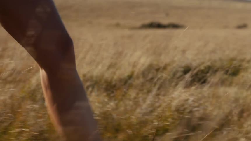 The woman is hiking through the tall yellow grass